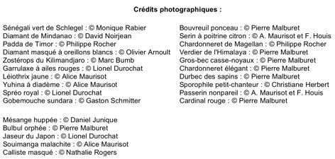 Crédits photographiques