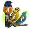 Logo AEP